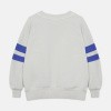 25514-winter-garden-stripes-swea (1)!