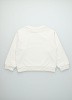 ! TNSBASICSWEATERBACK_1!