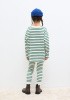 ! 25522-winter-garden-stripes-l-s (2)!
